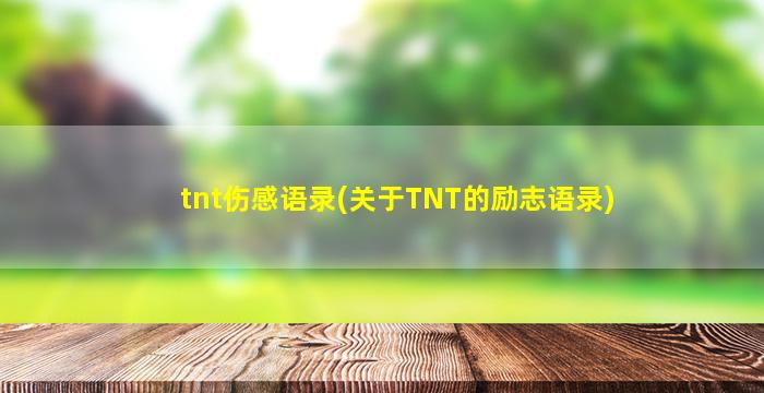 tnt伤感语录(关于TNT的励志语录)